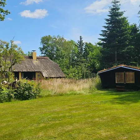 Astrup Vig Hideaway, Thatched With Shelter & Serenity