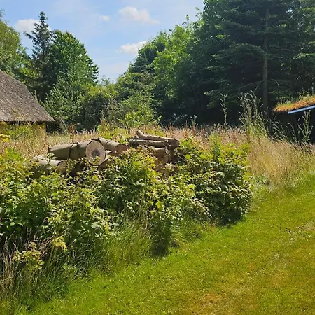 Astrup Vig Hideaway, Thatched With Shelter & Serenity Tatil Evi Roslev